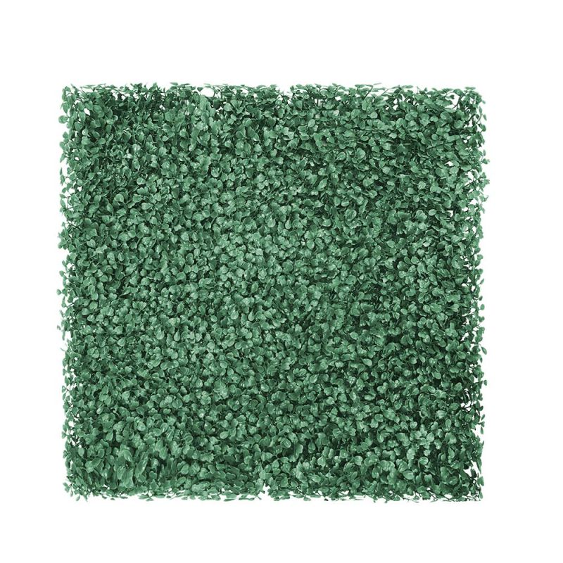 20