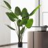 ECOOPTS Artificial Bird of Paradise Tree Fake Palm Trees with Plastic Nursery Pot Fake Silk Banana Tree for Indoor Outdoor (1 Pack)