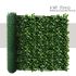 Expandable Artificial Laurel Fence Wall Décor Faux Leaf Privacy Fence Screen Plant Leaves Covering Decoration for Home Backyard Garden, 6'x8', 1 Piece