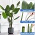ECOOPTS 6FT Artificial Bird of Paradise Tree Fake Palm Trees with Plastic Nursery Pot Fake Silk Banana Tree for Indoor Outdoor (1 Pack)