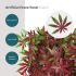 Artificial Grass Wall Faux Boxwood Panel Privacy Ivy Fence Screen Decoration for Backyard Garden Home Outdoor Indoor, 20
