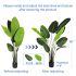 ECOOPTS 5FT Artificial Bird of Paradise Tree Fake Palm Trees with Plastic Nursery Pot Fake Silk Banana Tree for Indoor Outdoor (1 Pack)