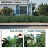 6'x12' Artificial Ivy Leaf Fence Screen with Mesh Back, Faux Plant Leaf Cover Decoration for Patio Yard Porch Deck Balcony (1 Piece)