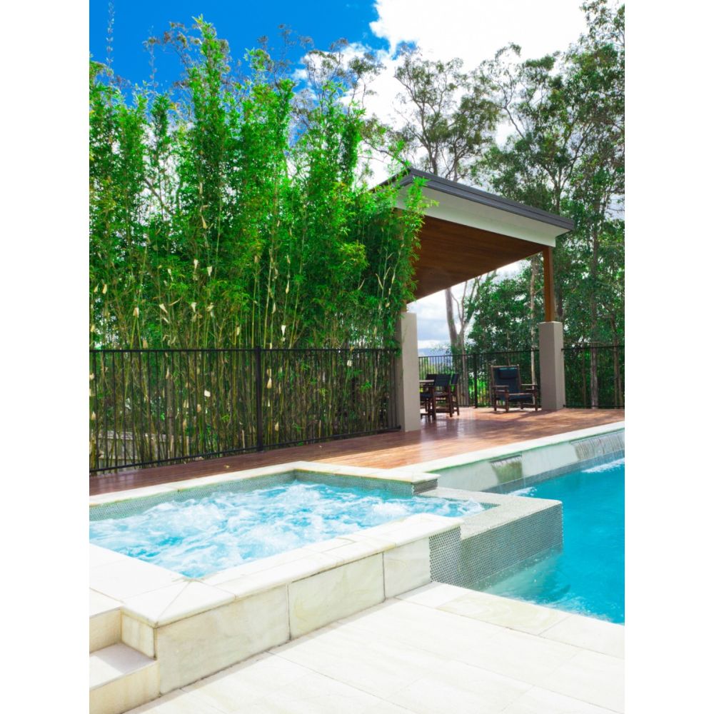 68''H * 94''W 2-Rail Steel Fence